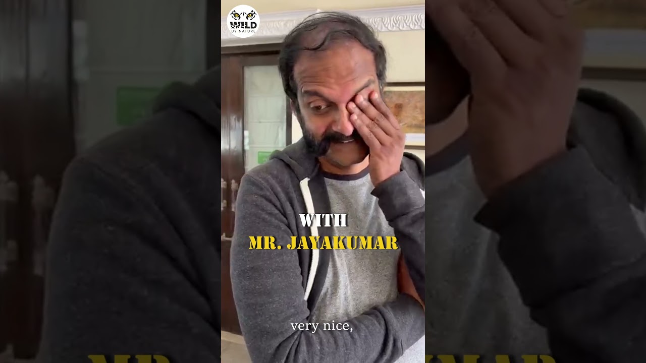 Tadoba Andhari Tiger Reserve | Wildlife Safari Experience | Jayakumar Ramanathan, WBN Member