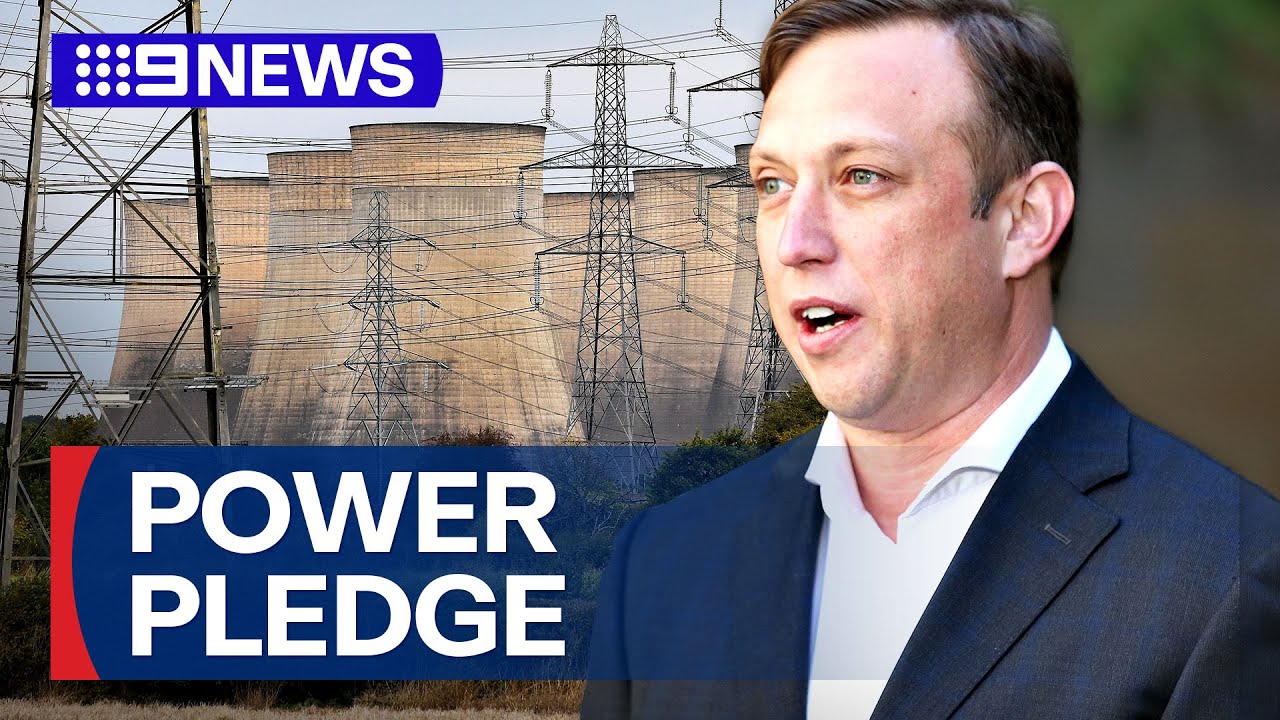 Steven Miles announces plan for state-owned power company | 9 News Australia