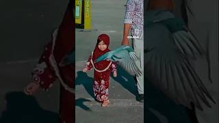 Download lagu paari nadakkum pravukale😍💚#shorts #youtubeshorts #baby #viralvideo mp3