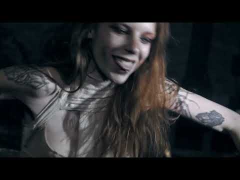 THE COLORATED - Perros