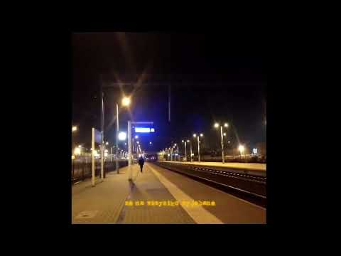 DOLI X SHIZI X KEVLAR WEST - JIM BEAM! (phone video)