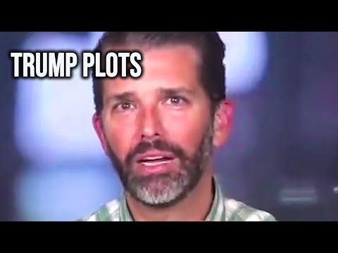 Trump Jr Suffers Ultimate Humiliation With Desperate Reveal