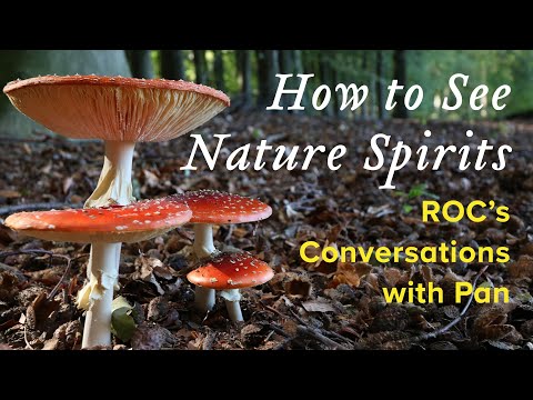 How to See Nature Spirits, ROC's Conversations with Pan