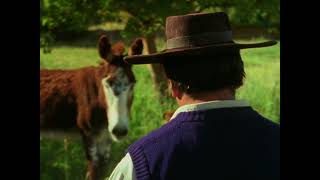 'Narciso', de Julio Fermepin - Trailer