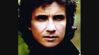 Un Gatto Nel Blu   Roberto Carlos