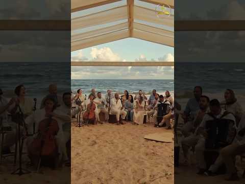 •Adoradores 5 - Usa-me 🎵 ​⁠@Jessica.Dantas e ​⁠@rawfywelton