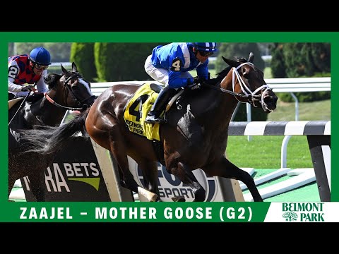 Zaajel - 2021 - The Mother Goose