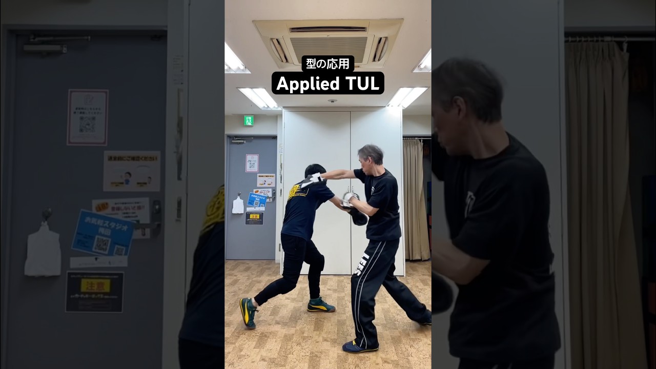 型の応用Applied TUL  #taekwondo  #tkd  #dosan #boxing