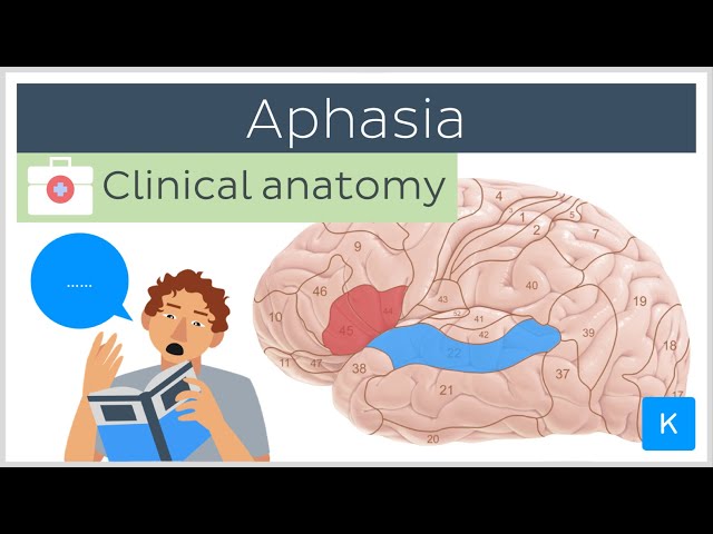 Aphasia meaning