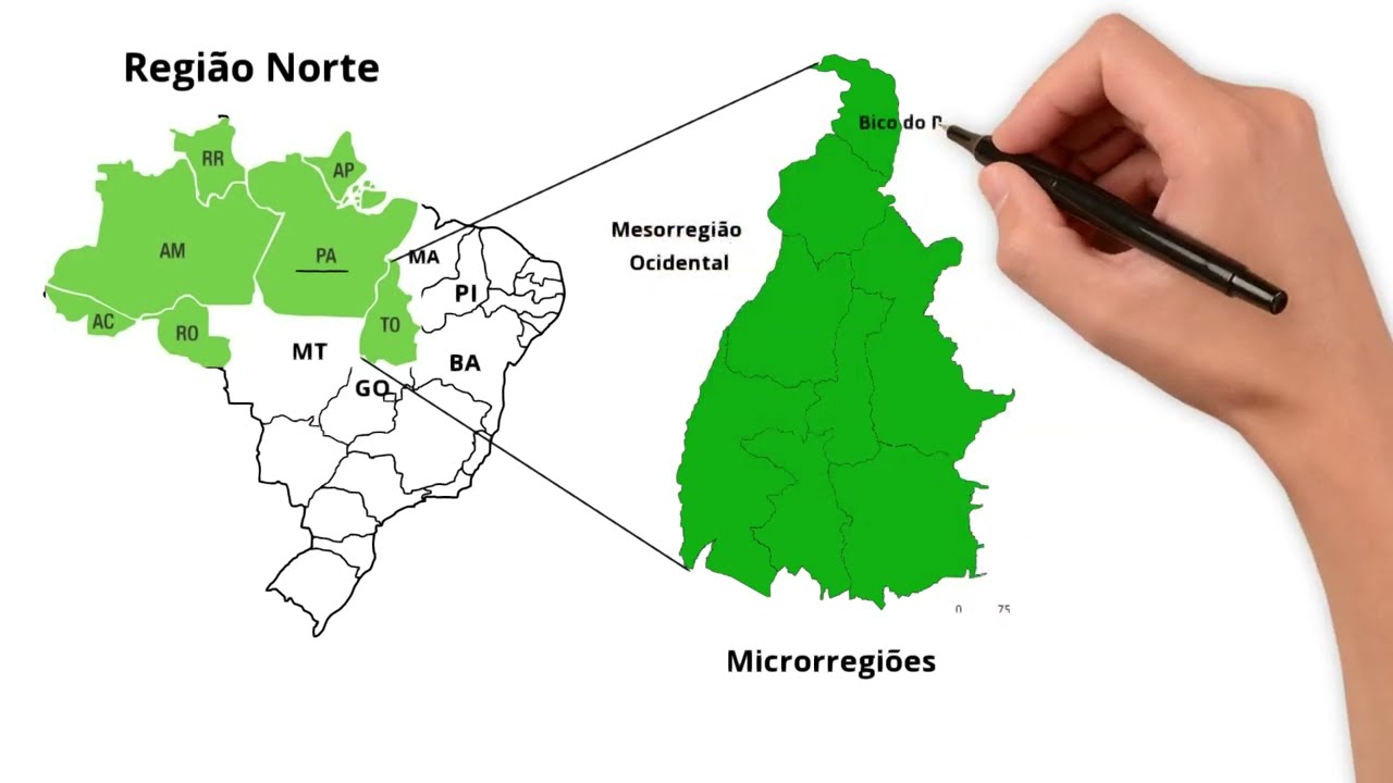 Geografia do Tocantins - Vídeo Animado
