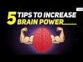 How To Increase Your Brain Power | 5 Effective Tips To Improve Memory | Letstute