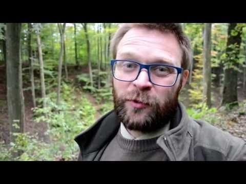 Nie taki leśnik straszny...