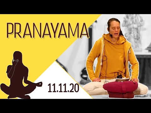 Pranayama für Fortgeschrittene mit Chitra - Yoga Vidya Live 06:00 - 11.11.2020