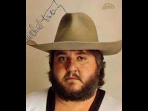 KOUKÁM JAK CELÁ ZEMĚ VSTÁVÁ/ MICHAL TUČNÝ-COUNTRY MUSIC/COVER BY OTA