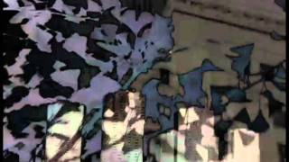 Panda Bear - Slow Motion