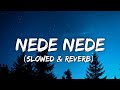 Nede Nede Slowed Reverb
