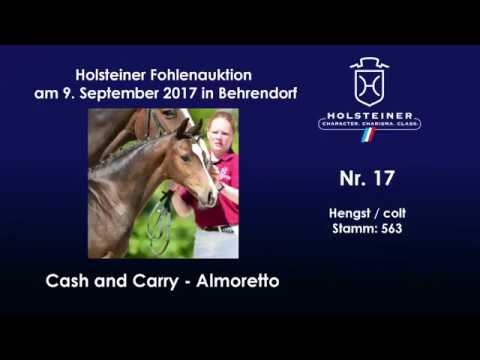 Nr. 17 v. Cash and Carry - Almoretto
