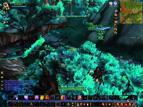 Level 88 @ Wandering Isle (Neutral Pandaren)