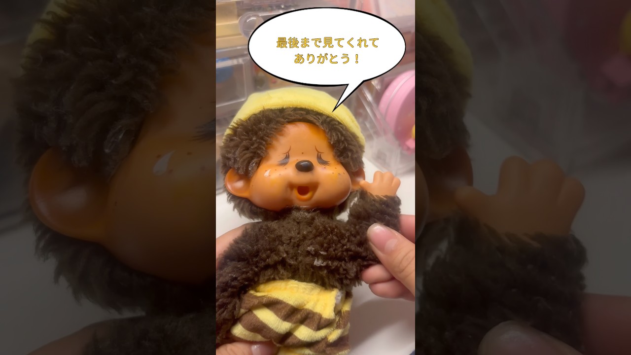 モンチッチが🐝に大変身！！✨ #モンチッチ#はち #生活音投稿者#初芽なのは#short #なのるな#おすすめ乗りたい#バスれ