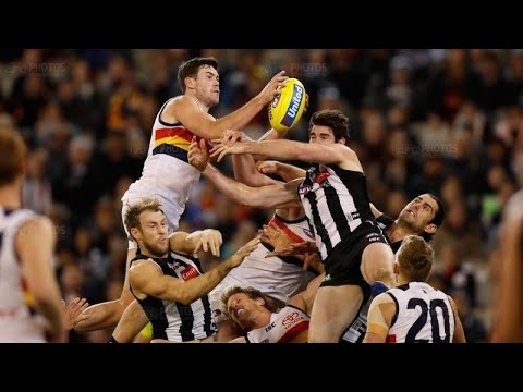 Round 19 Adelaide Crows Vs Collingwood Magpies 2017 Highlights