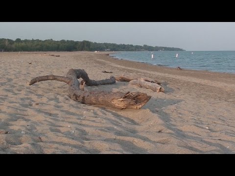 youtube embeded image