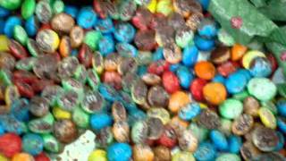 2009 Chimera 100 Trabuco Gate Aid Station -- inside the tent