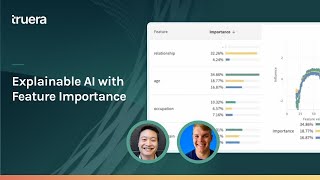 Explainable AI with Feature Importance