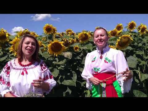 З Днем Незалежності, Україно!