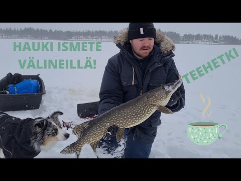 HAUEN KALASTUSTA JA HÖPINÖITÄ