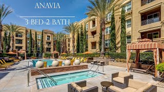 3 Bedroom, 2 Bathroom in the heart of Anaheim!