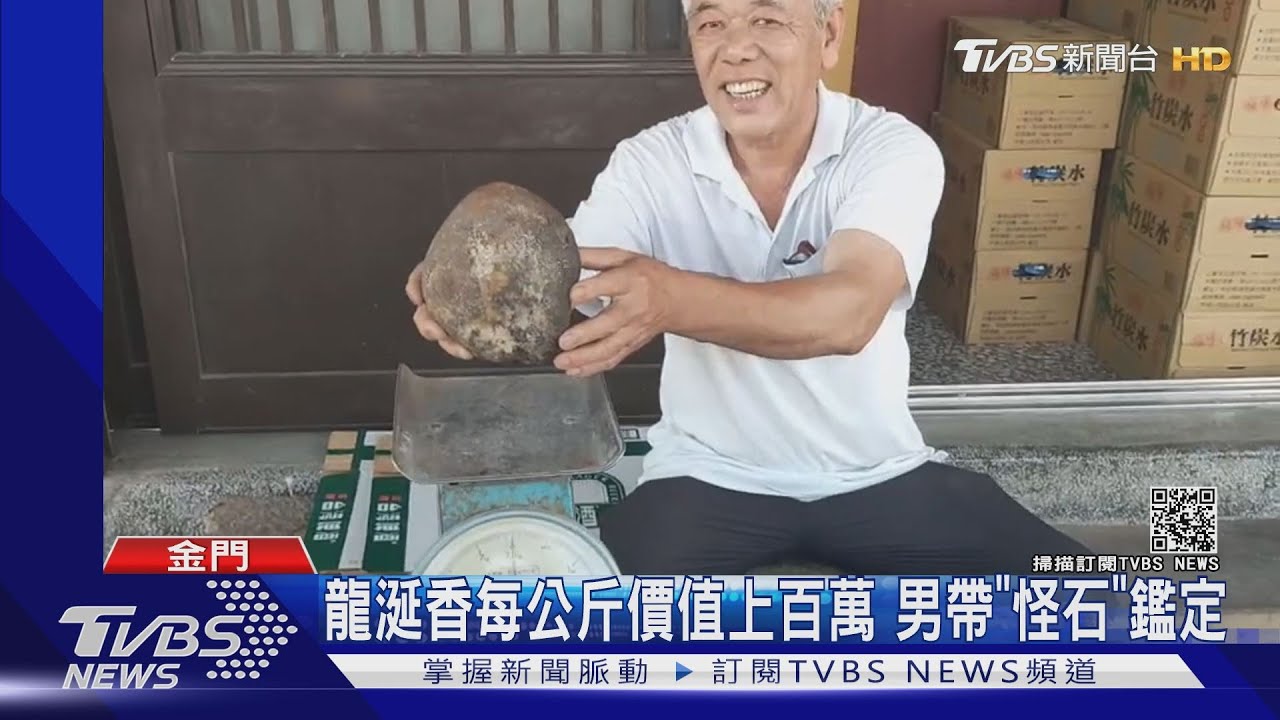 愛犬海邊叼回1.6KG「石塊」疑為價值百萬「龍涎香」