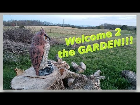 WELCOME TO THE GARDEN - WH3R3 W3 AR3