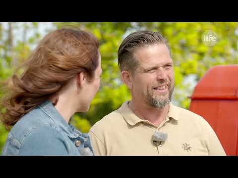 BorJour - Kadarka - Bodri pincészet