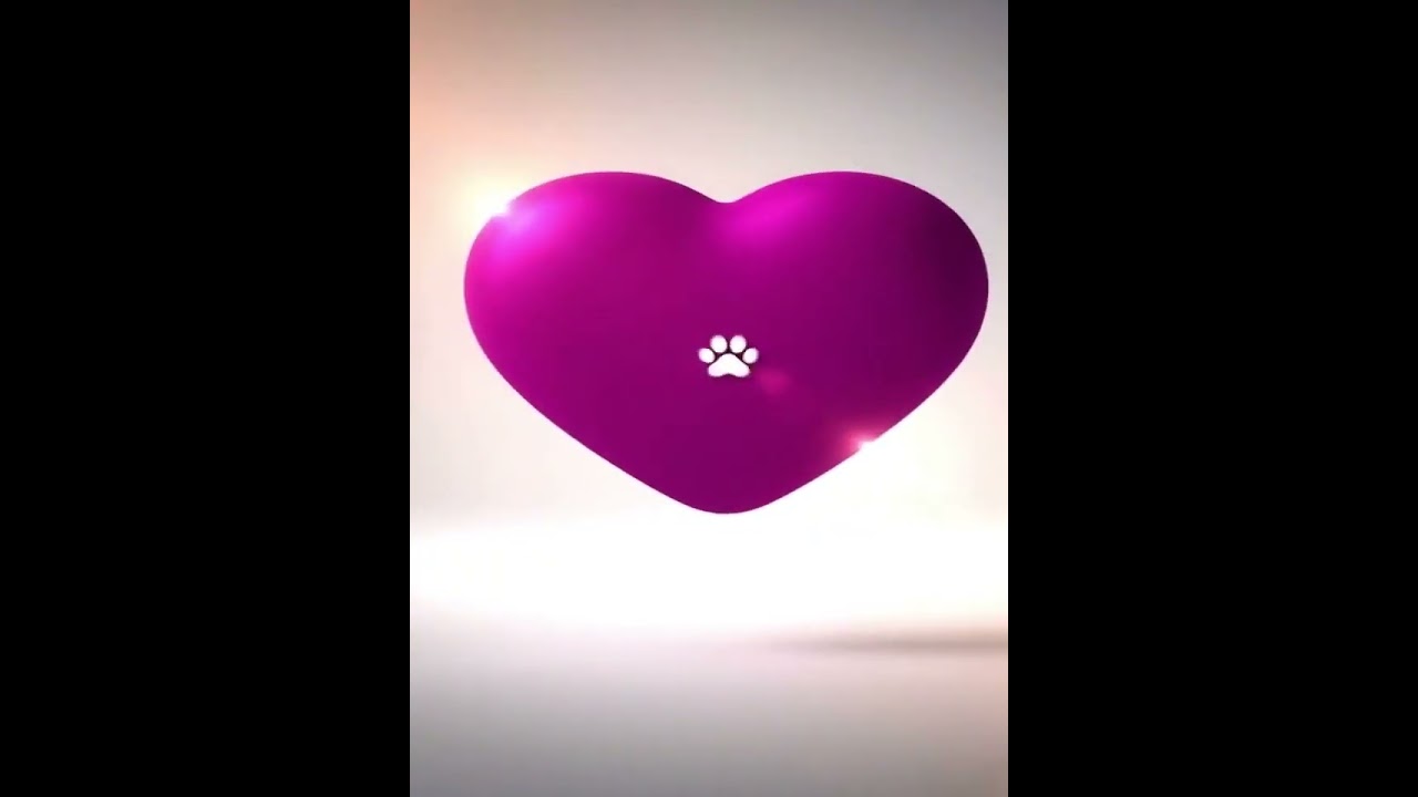 Cachorro raça SRD-ViraLata idade 2 anos nome Bigodinho 