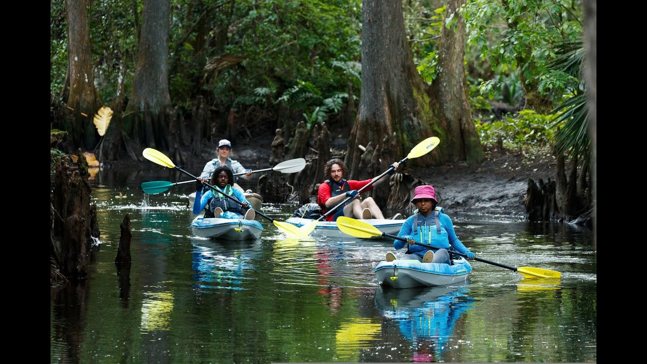 DCEFF Q&A: Hidden Wild