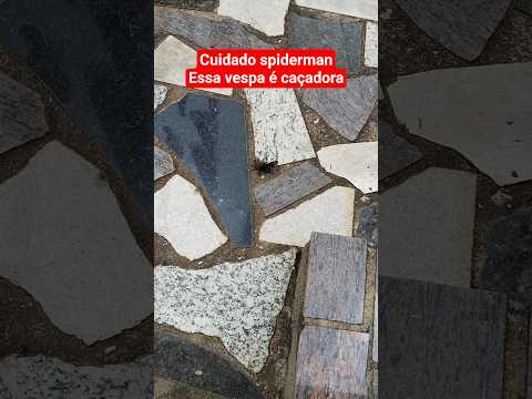 Bastidores do estúdio de cinema da natureza — Vem Pra Mata, Santa Teresa ES