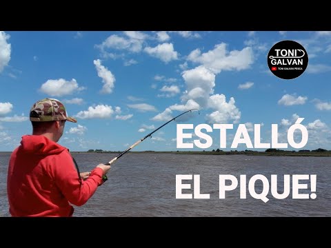 GENERAL LAVALLE 11-2025 PESCA!! Mucho pique de Porteños, Bagres Amarillos, Peritas, Cangrejos