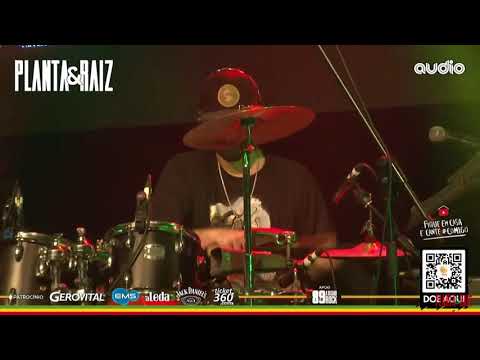 Pique Natty Dread - Planta & Raiz