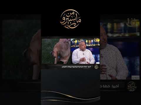 وكيل الأطباء البيطريين: لدينا عجز في الأعداد.. وفي القاهرة 12 طبيبًا فقط لتفتيش اللحوم 