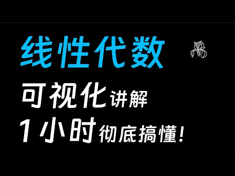 线性代数可视化讲解 | 1小时彻底搞懂！ | 数学不难：线性代数