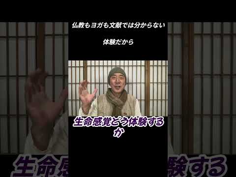 仏教学科 瞑想は生きようとする意欲を感じる、文献解釈じゃなく体験だ#切り抜き＃マインドフルネス＃ヨガ＃健康＃ヨガ＃健康