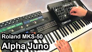 Video thumbnail for ROLAND Alpha Juno / MKS-50 - Ambient arpeggiator music soundscape 【SYNTH DEMO】 by synth4ever