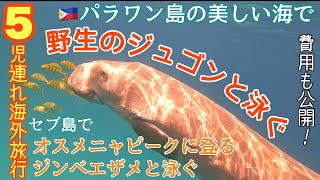 【フィリピン旅行】セブ、パラワン・ブスアンガ島でジンベエザメ、ジュゴンと泳ごう！家族7人子連れ旅行
