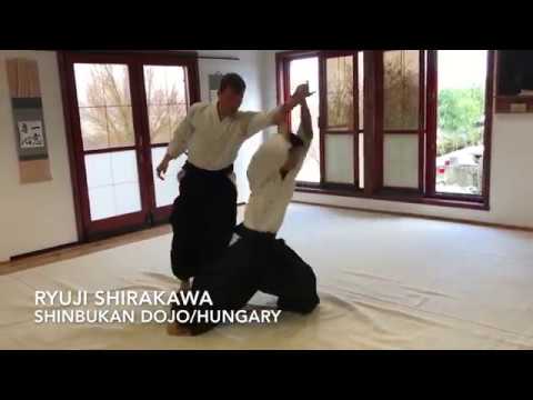 Seminar with Ryuji Shirakawa sensei 6th dan