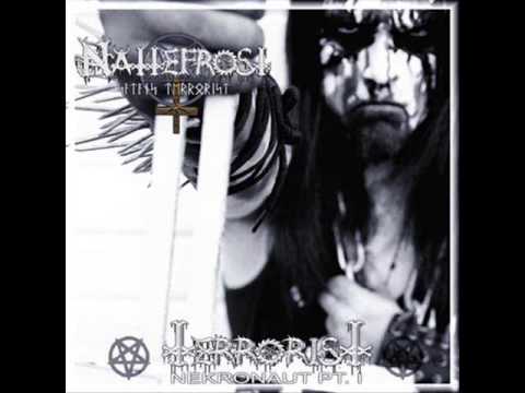 Nattefrost - Nekronaut