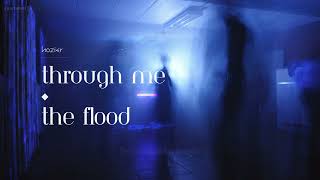 『Lyrics + Vietsub』 Through Me (The Flood) - Hozier