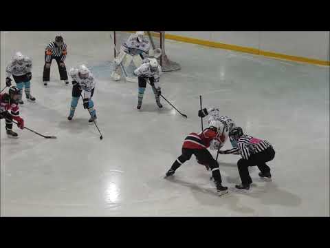 C-nuorten SM-karsinta Jokipojat-Pelicans