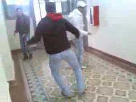 conejo y pablo alfaro a palos