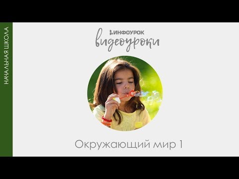 Режим дня школьника | Окружающий мир 1 класс #2 | Инфоурок