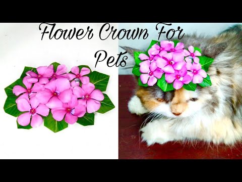 How To Make Flower Crown | Flower Crown For Pets | DIY Flower Crown